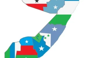 حريق الجزائر دار أيتام، تعزية الصومال