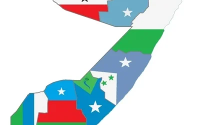 حريق الجزائر دار أيتام، تعزية الصومال